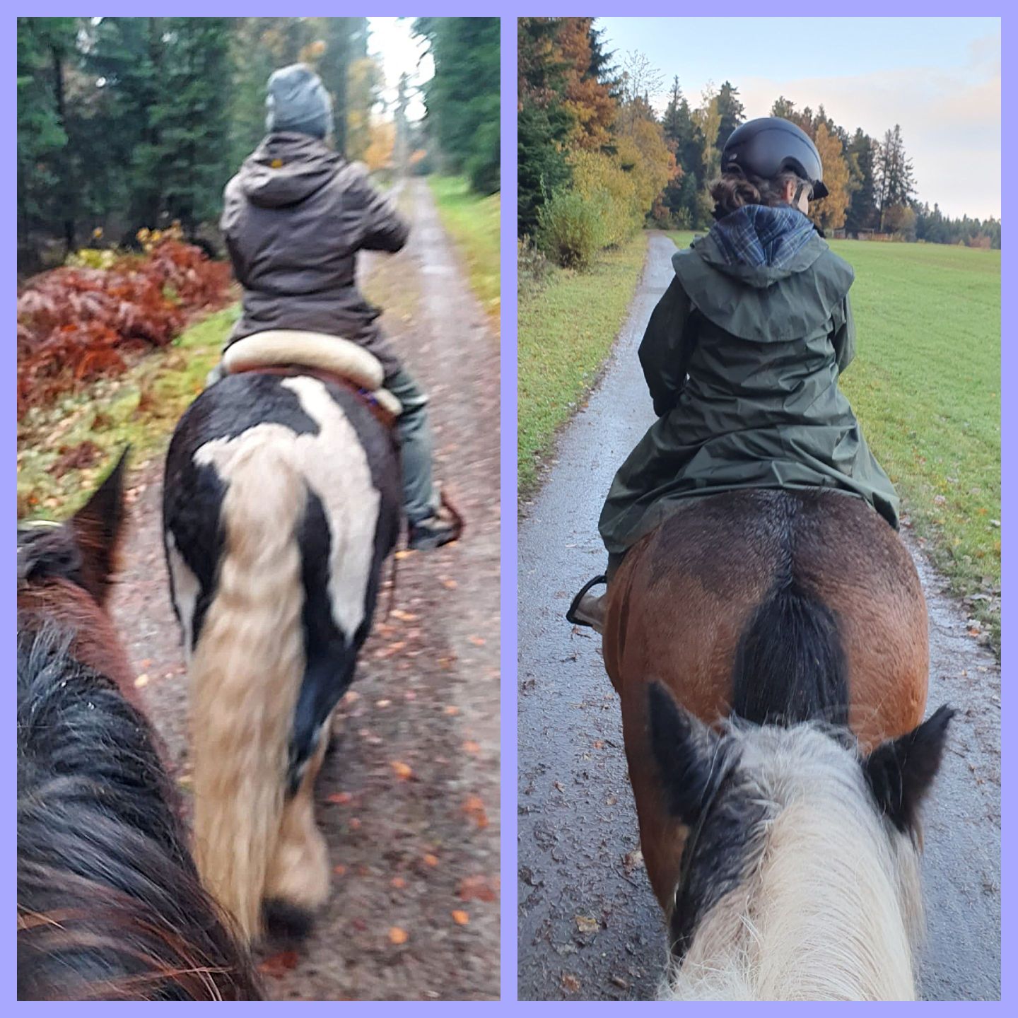 2023 11 November 604